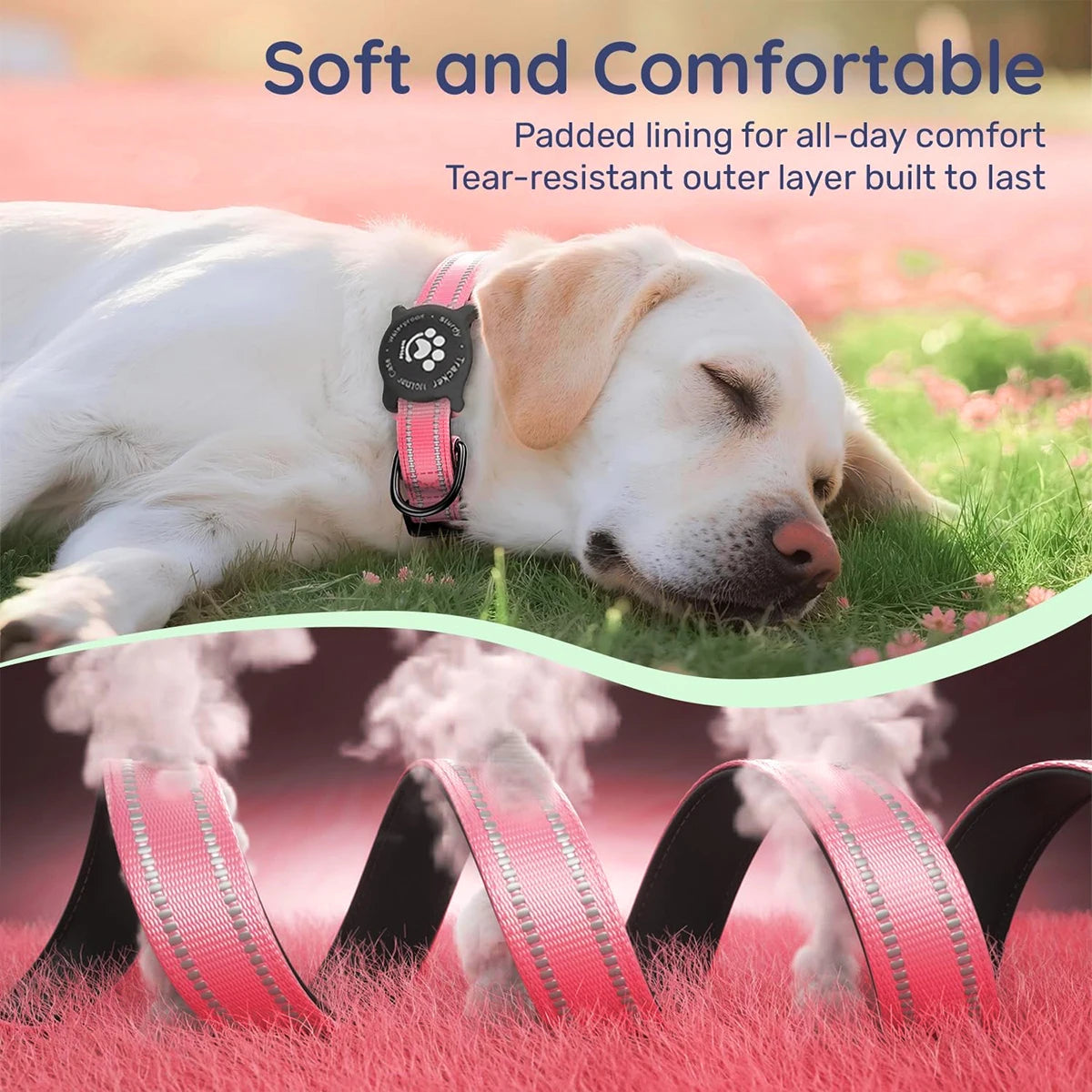 Taakcc Reflective Dog Collar with Luminous Airtag Holder, Waterproof Soft Padded & Safety Buckle, Air Tag Tracker Case Collars